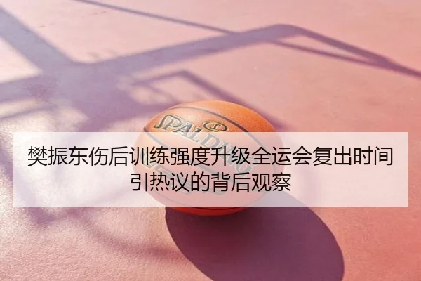 樊振东伤后训练强度升级全运会复出时间引热议的背后观察